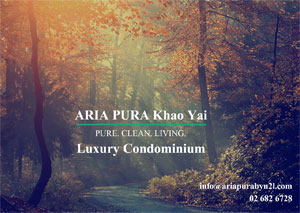 ARIA-PURE-4d5085416ebe7ff55a5f15aa9b49d5f5b9a69d8a