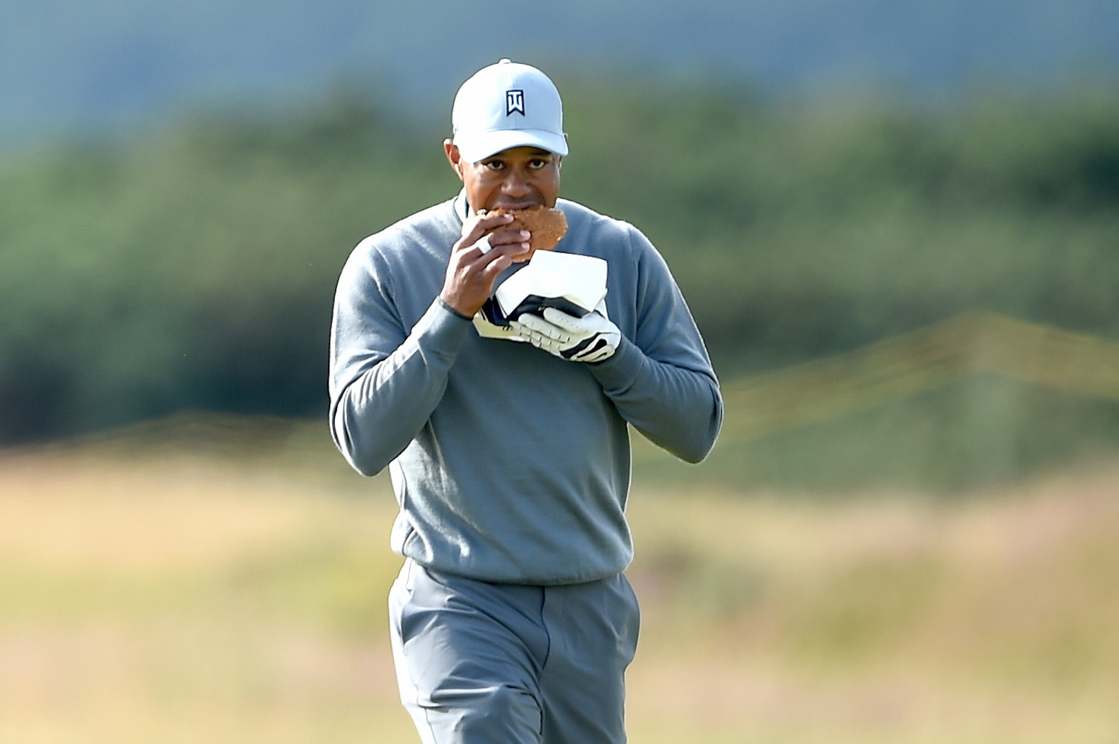 The Top 10 Tiger Woods Facts