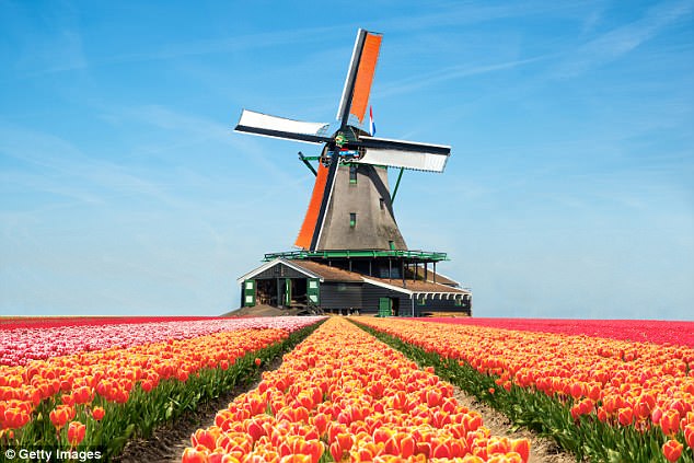 Join Star¿s maiden voyage from Amsterdam for a one-week Tulip Serenade cruise departing on April 12, 2019 