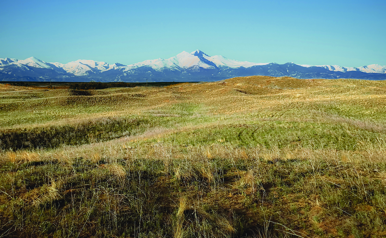 Rodeo Dunes